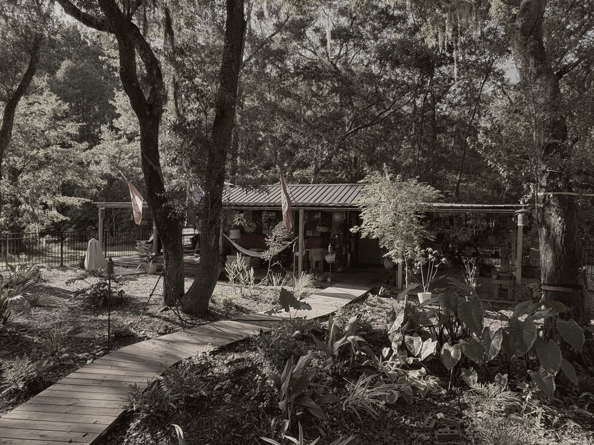 Cardboard Cabin sepia